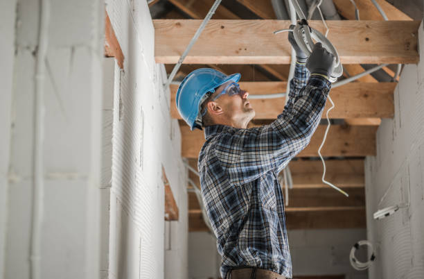 Best Electric Panel Repair  in Waverly, MN